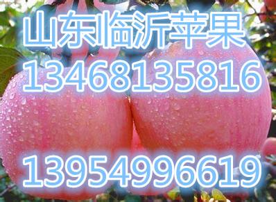 ɽ츻ʿƻ(80-95)
