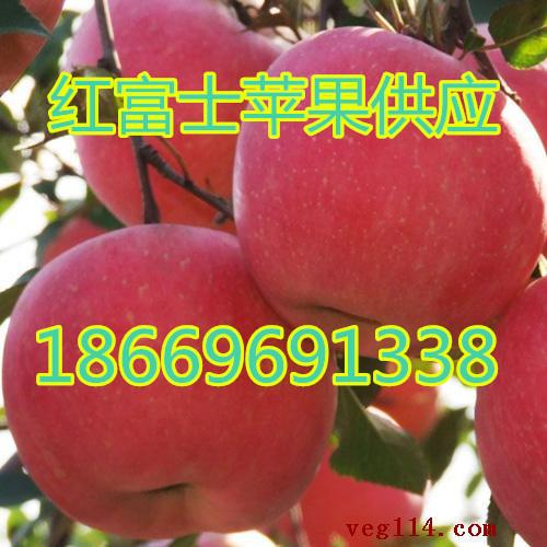 ƻ츻ʿƻѻȹӦ