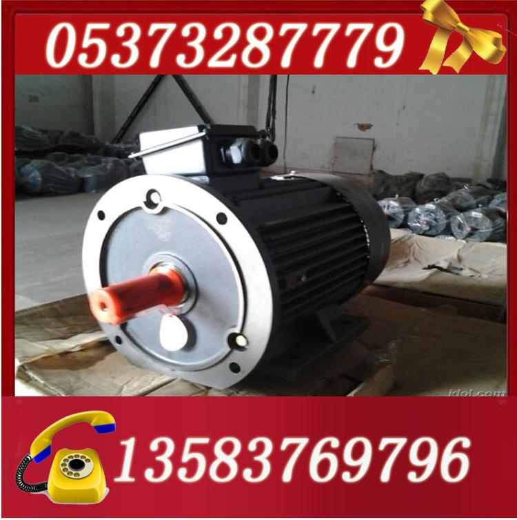 YB2-315M-2
