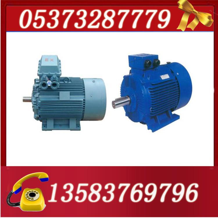 YB2-315L1-2