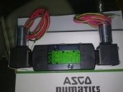 ascoŷEFG551A002M