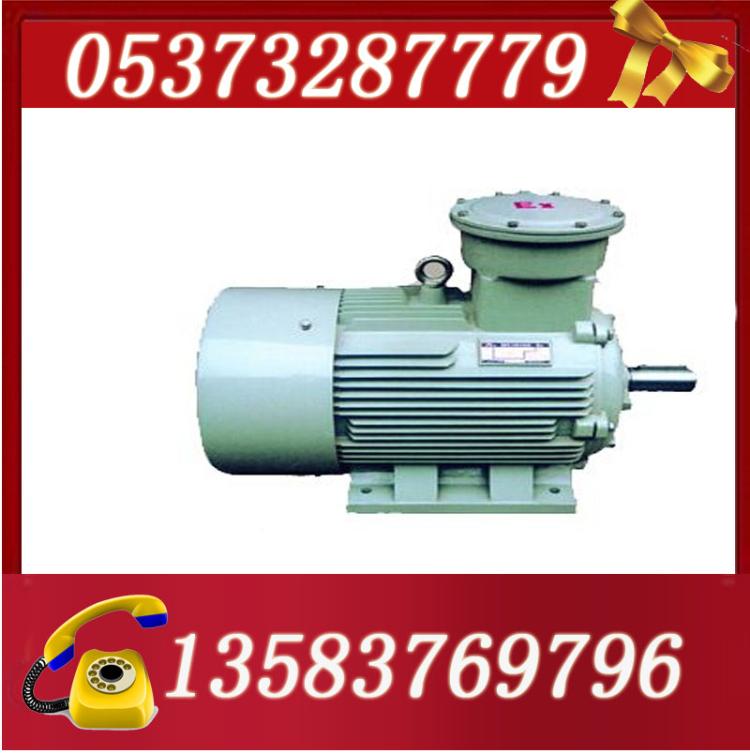 YB2-315L1-4
