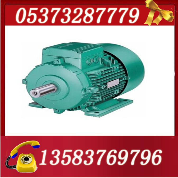 YB2-355L2-4