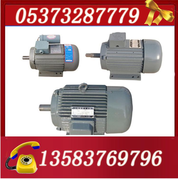 YB2-100L1-8