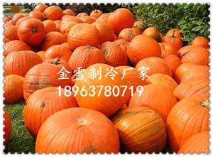 ֱ似ӦЩ