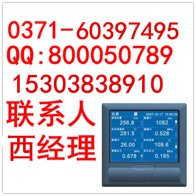 WP-R301C上润仪表