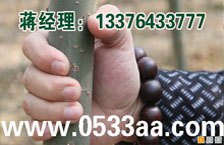 2012硢Ӧ.ֳ