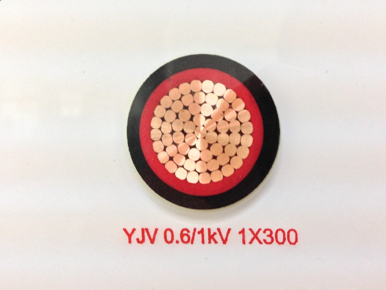 YJV5*10