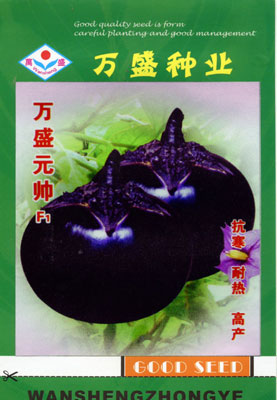 ӡʢԪ˧