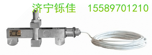 GAD80Ϳ