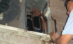 ӪĿյά޹˾0546-8221409