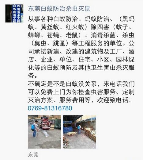公司.jpg