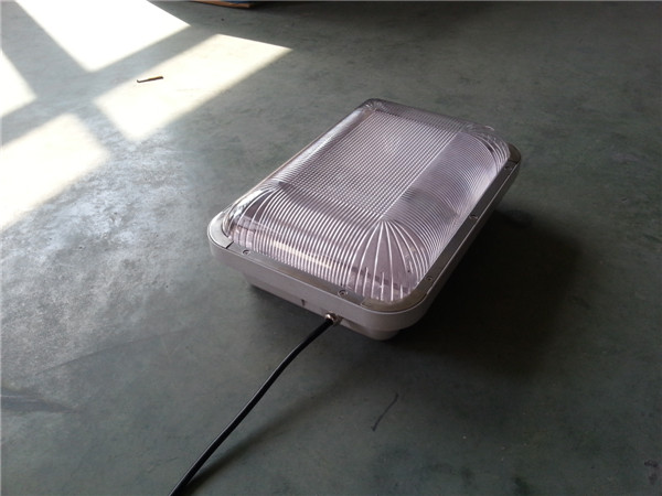 20131031_123049.jpg