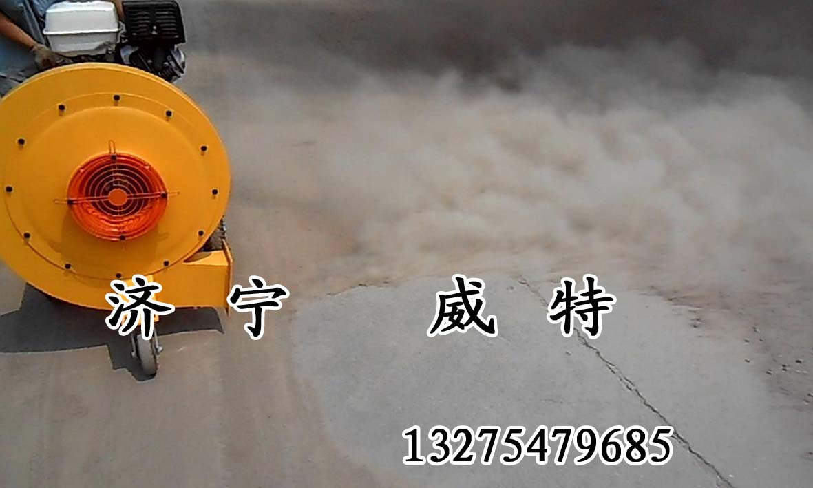 ǿЧ·洵
