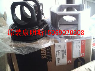 USAڿ˹QSM114955348