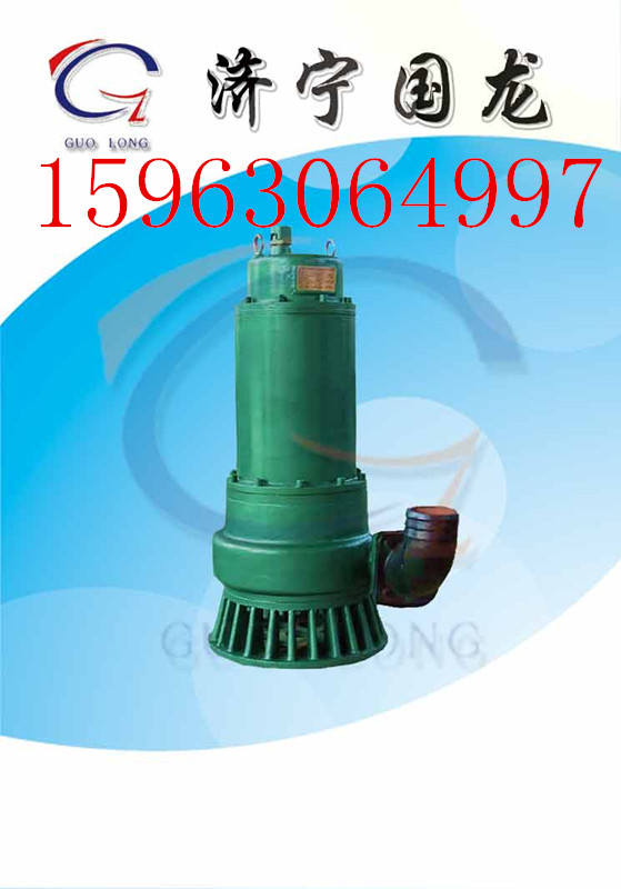 BQS25-10-2.2 BQS15-15-2.2ˮ