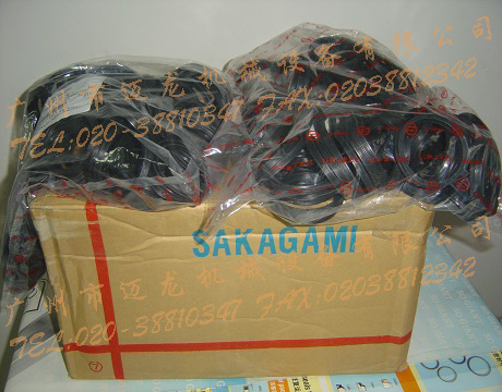 ձϣSAKAGAMI)ܷ