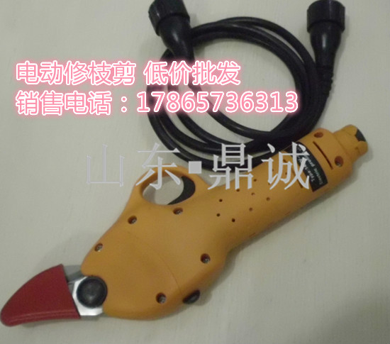 ݳʽ֦綯޼ ,԰֦
