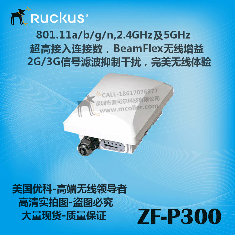 Ruckuszoneflex901-P300-CN02AP