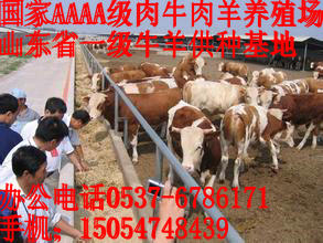 ţֳس깩Ӧ:ţţ¿ֳֳ