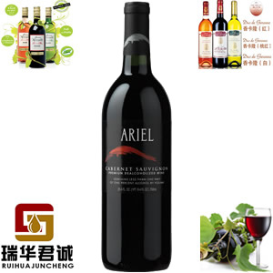 ARIELϼ޴ɺѾ