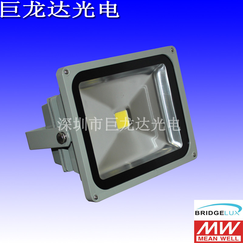 ֱ50W LEDͶ 