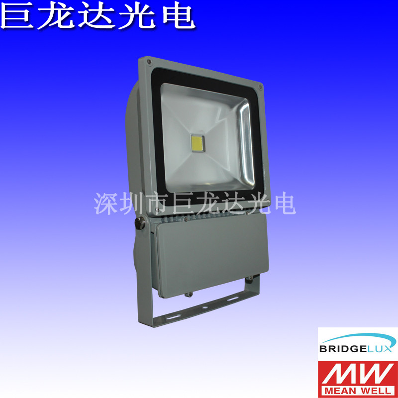 оLED100WͶ LED