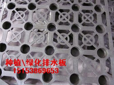 邵阳&&楼顶排水板+成块排水板+屋顶排水板