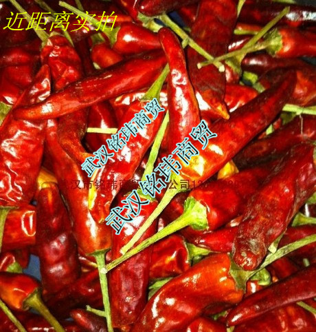 زڸ