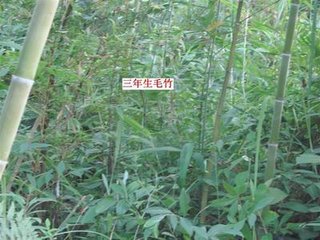 2015ë-繩Ӧ1Ԫ-(ͼ)ӭʵؿ-13888777013