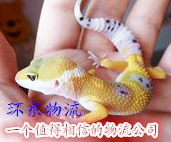 ڿ˳ﵽ֣