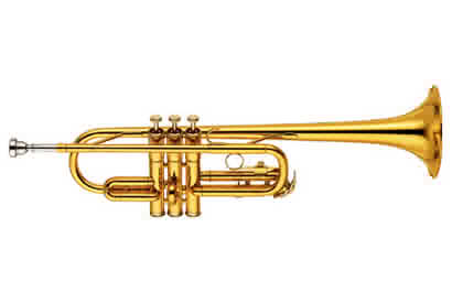 CСYTR2435        