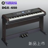 DGX-650DGX-650