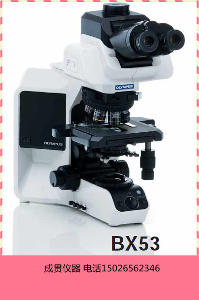 BX53 OLYMPUSϵͳ΢BX53