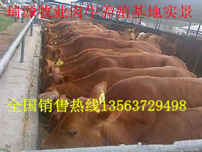 ţţг۸