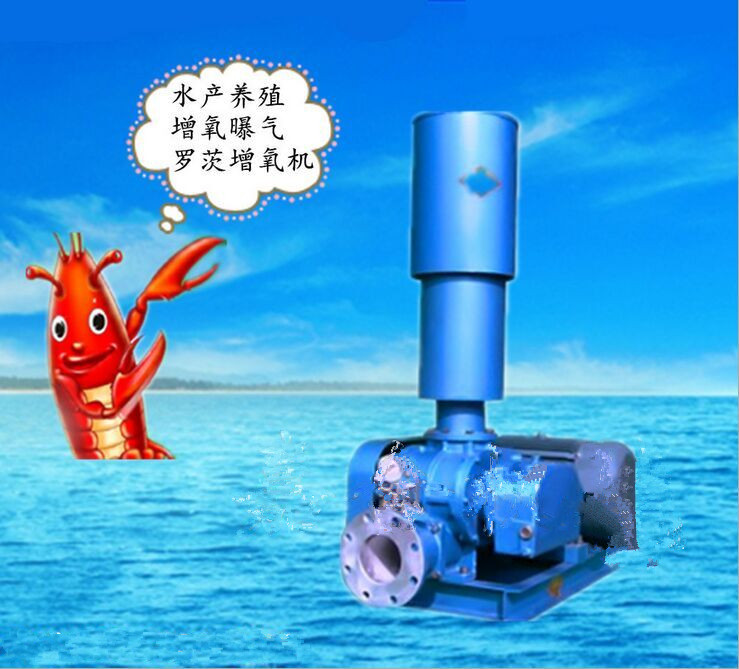 ӦƷ۸ʵ۸