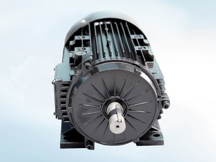ݻ ˢֱ 綯 綯泵 48V2.2KW