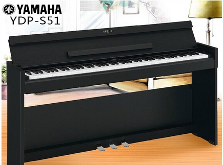 YDPS51