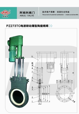  PZ273TCҺմբ