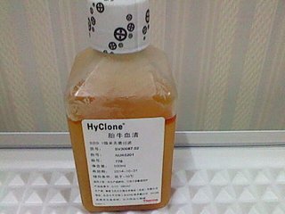 Ѫ/Լ/ҪЩβ