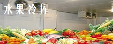  Ϻ˶ũṩ䶳⣬ؿ⣬¿