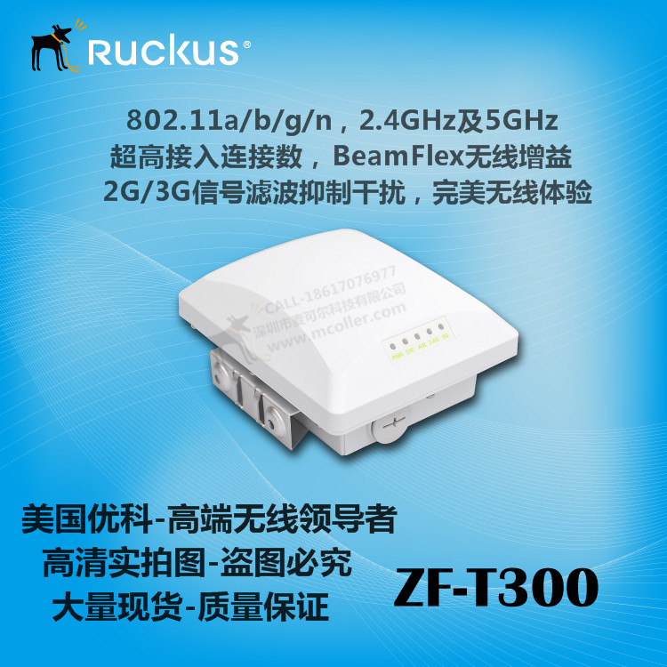 Ruckuszoneflex901-T300-WW01AP