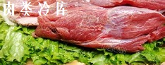 Ϻʱ䶳ִ