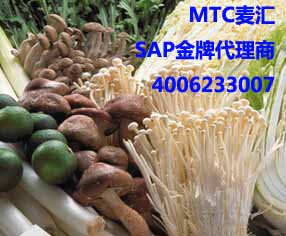 ʳƷҵERP ũҵֲӹERP MTC