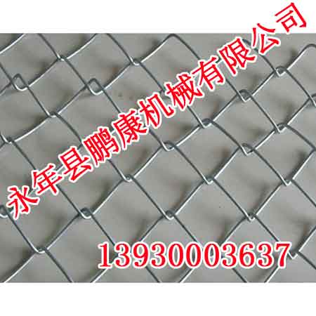 网片|网片价格|网片厂家|永年县鹏康机械