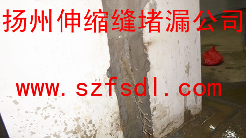 扬州堵漏公司欢迎您