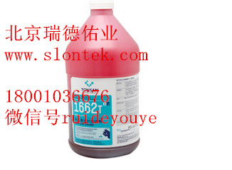 1662Tˮ ּܷ̳   