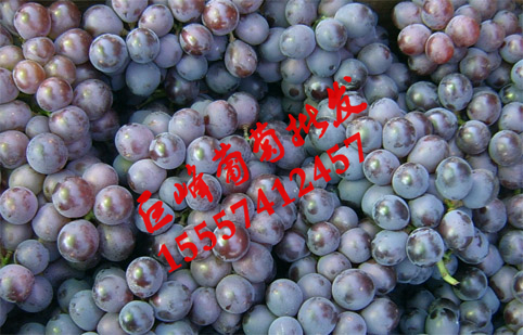 Ӧ㽭޷-4000Ķֲ