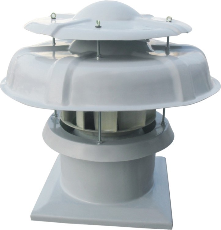DWT-1Iʽݶ