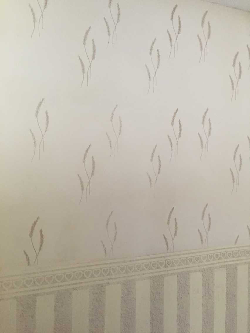 ɳ̳ ɳƷ